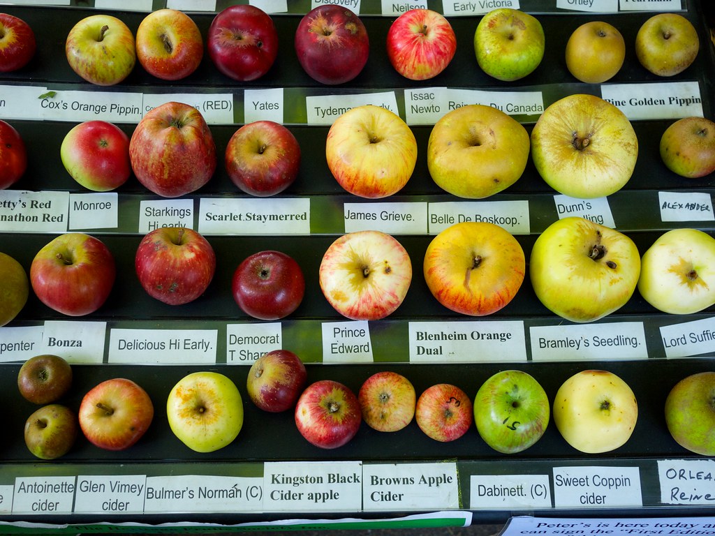 types of cider apples